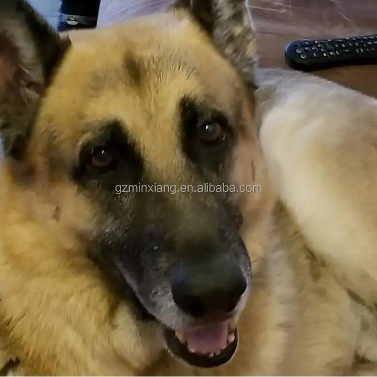 宠物复合维生素补充剂营养冻干片狗用补充剂支持整体健康含矿物质 - Image 3