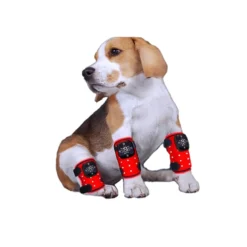 Wholesale NQK NQK-L1312 660nm 850nm Hand Held Portable Rechargeable Type-C Pet Far-infrared Light Red Therapy Knee Device