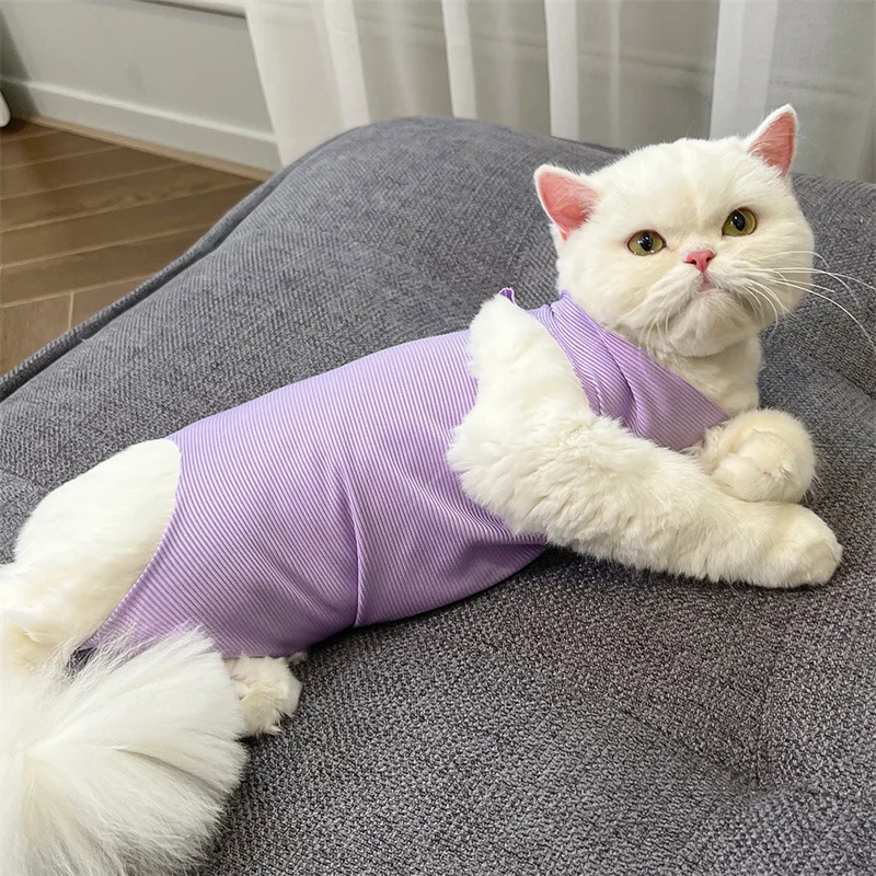 Cat Recovery Suit Surgery Anti-Lick Breathable Wholesale Cute Cat Clothes - Image 5