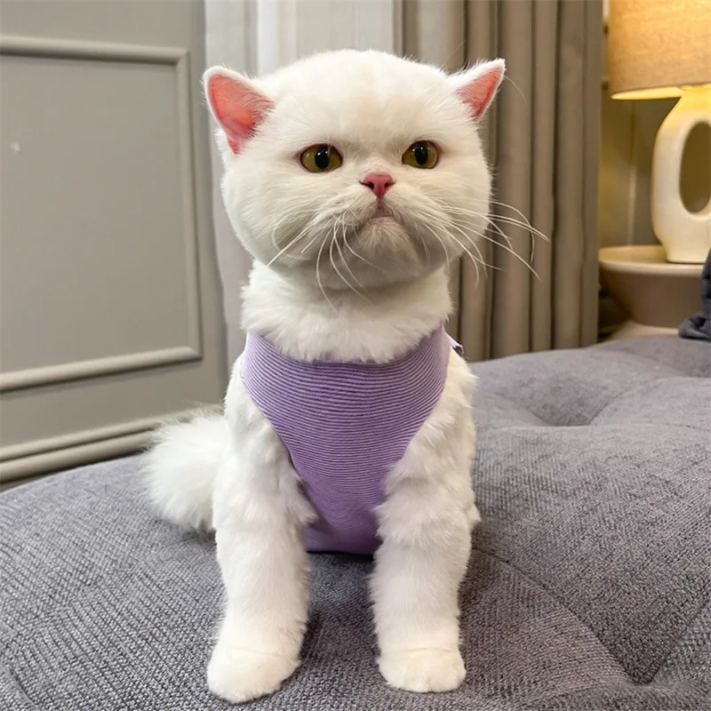 Cat Recovery Suit Surgery Anti-Lick Breathable Wholesale Cute Cat Clothes - Image 4