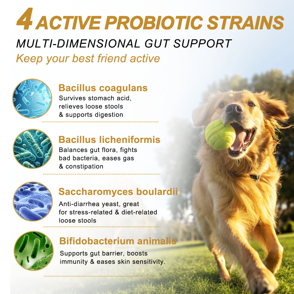 Digestive Health Soft Chews for Dogs and Cats, Chicken Flavor, 180 Count - Image 4
