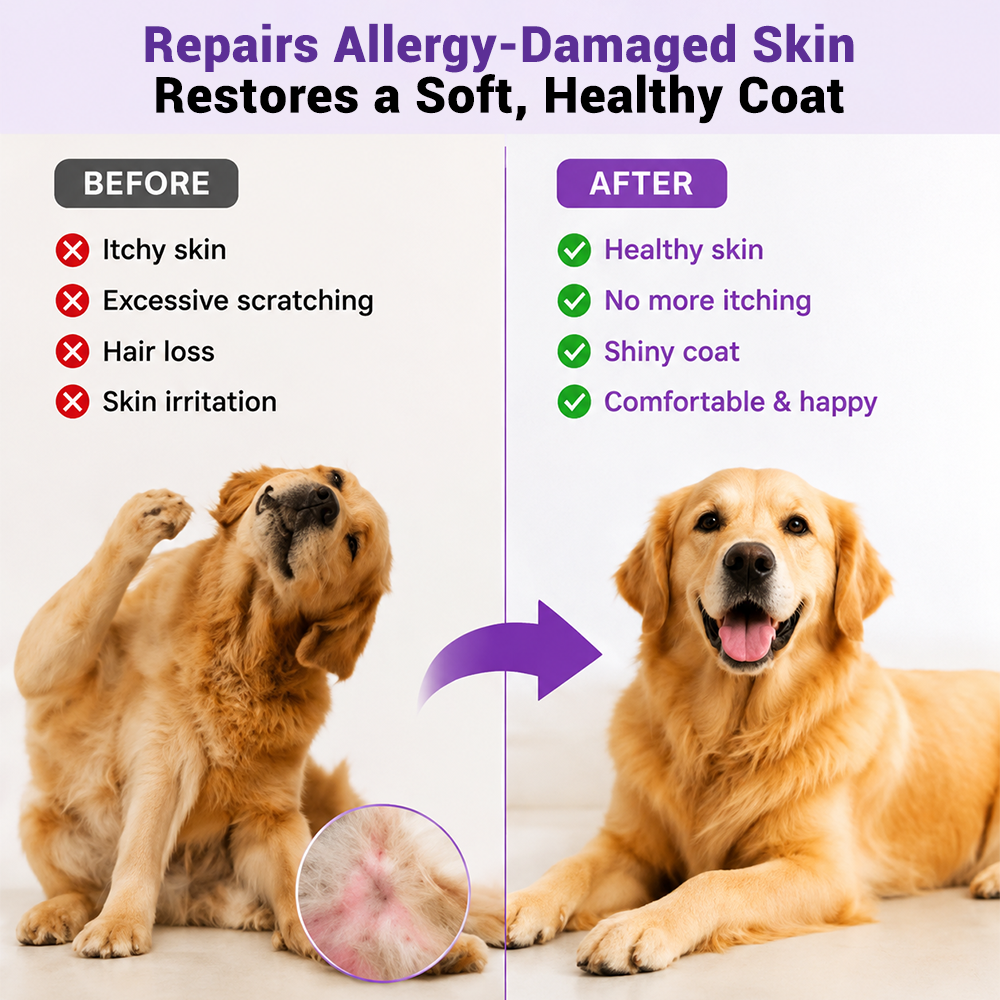 Allergy Support Soft Chews for Dogs and Cats, Chicken Flavor, 180 Count - Image 3