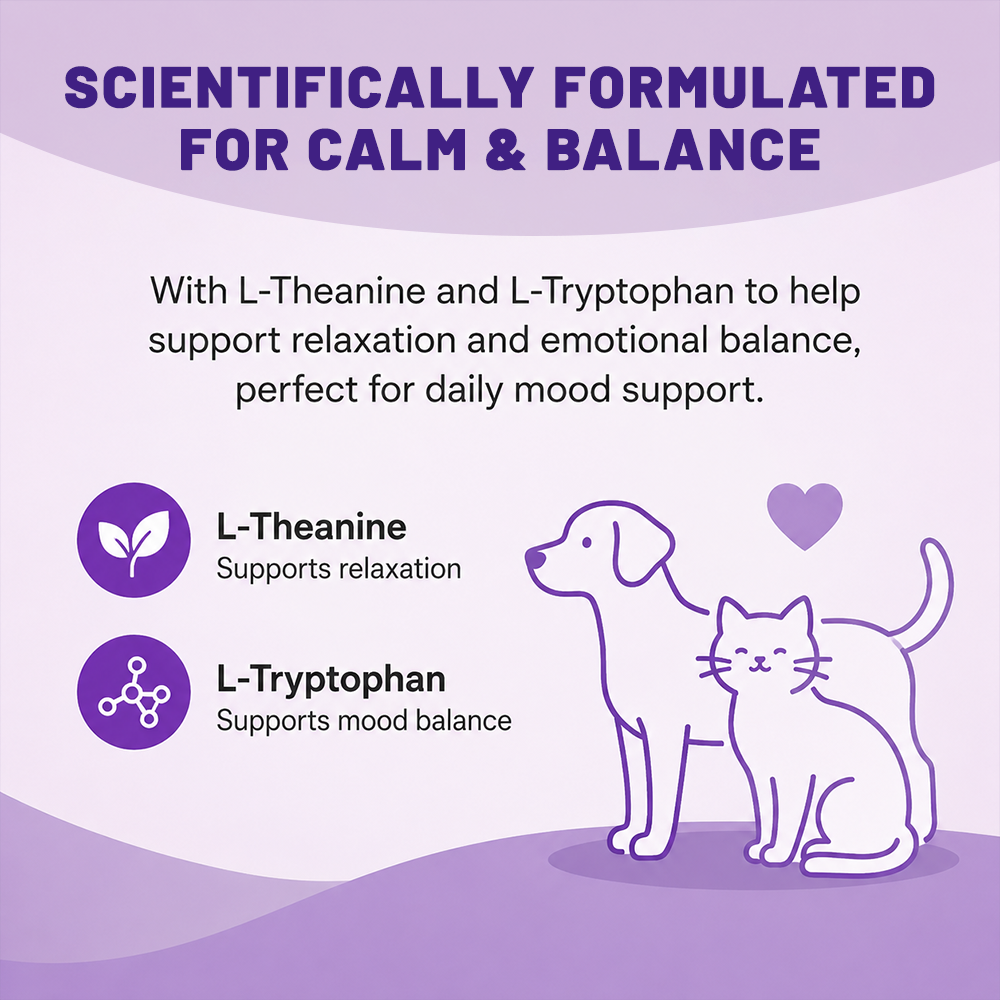 Calming Support Soft Chews for Dogs and Cats, Chicken Flavor, 180 Count - Image 5