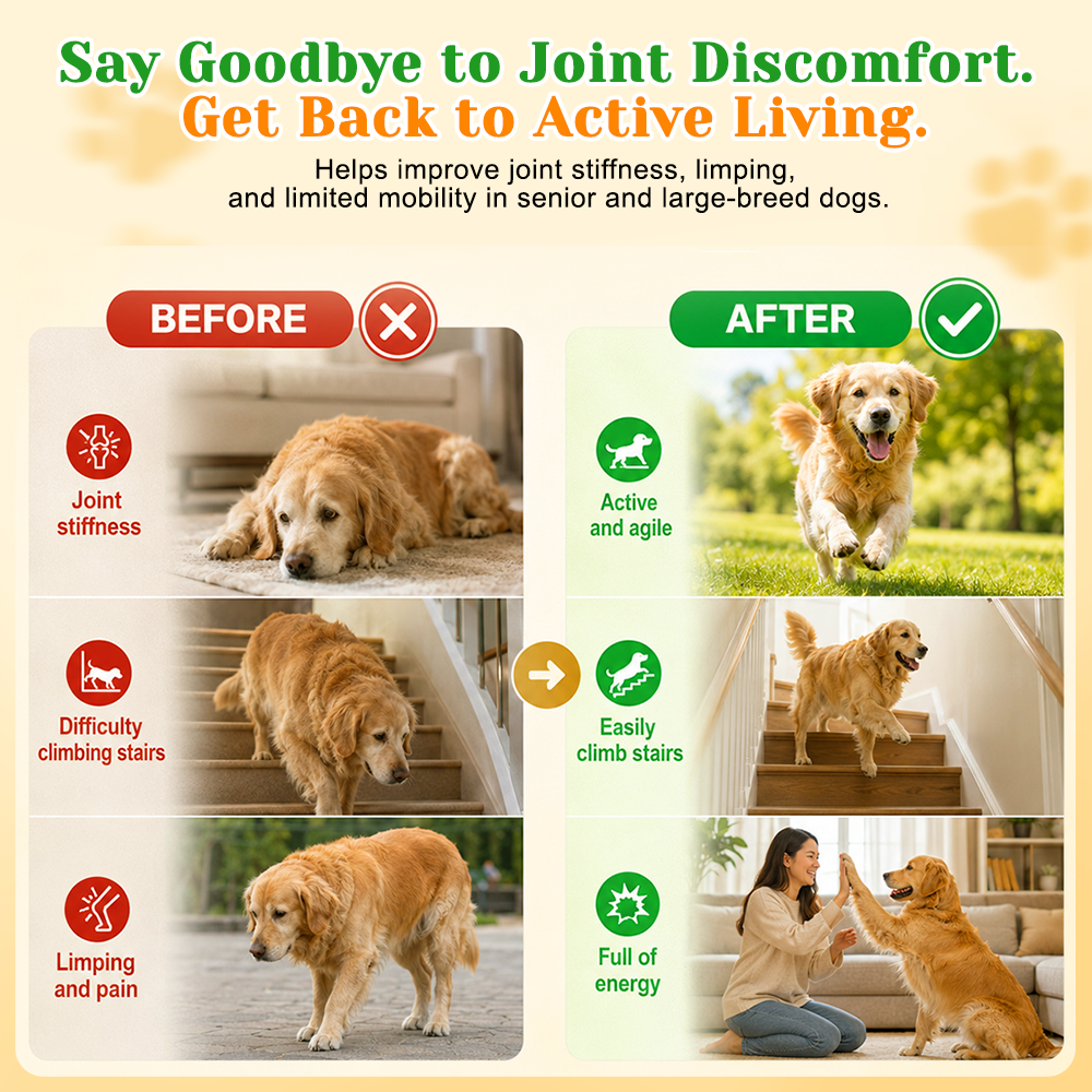 Hip & Joint Support Soft Chews for Dogs and Cats, Chicken Flavor, 180 Count - Image 5