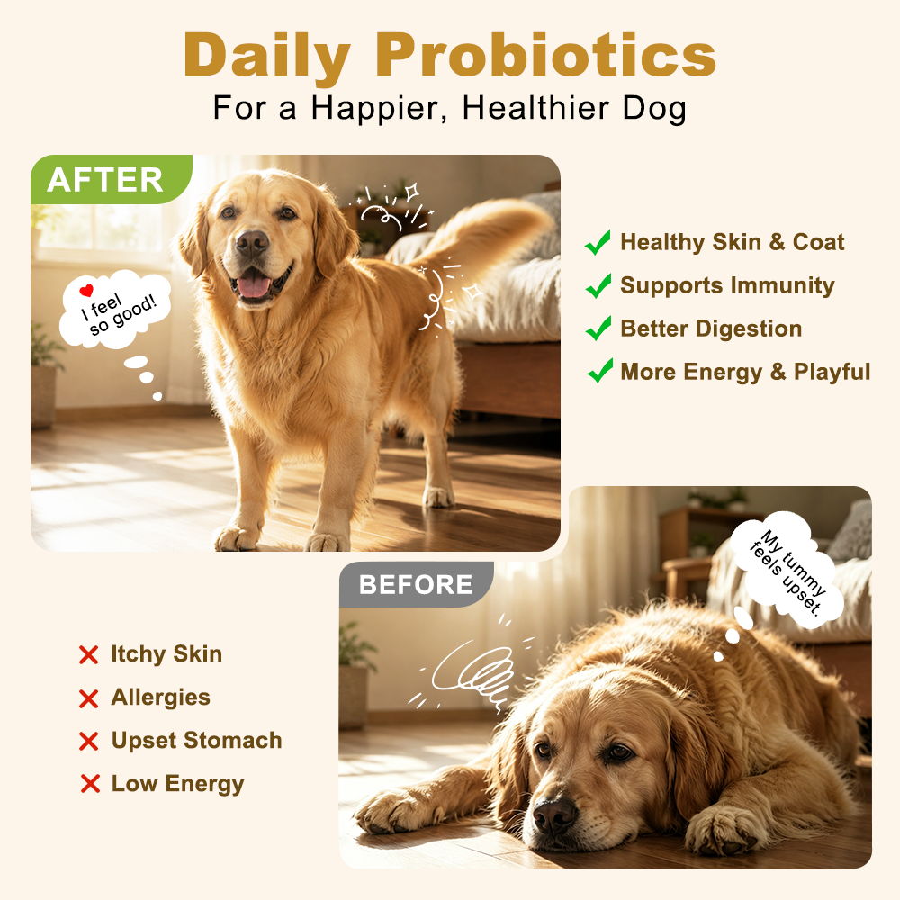 Digestive Health Soft Chews for Dogs and Cats, Chicken Flavor, 180 Count - Image 7