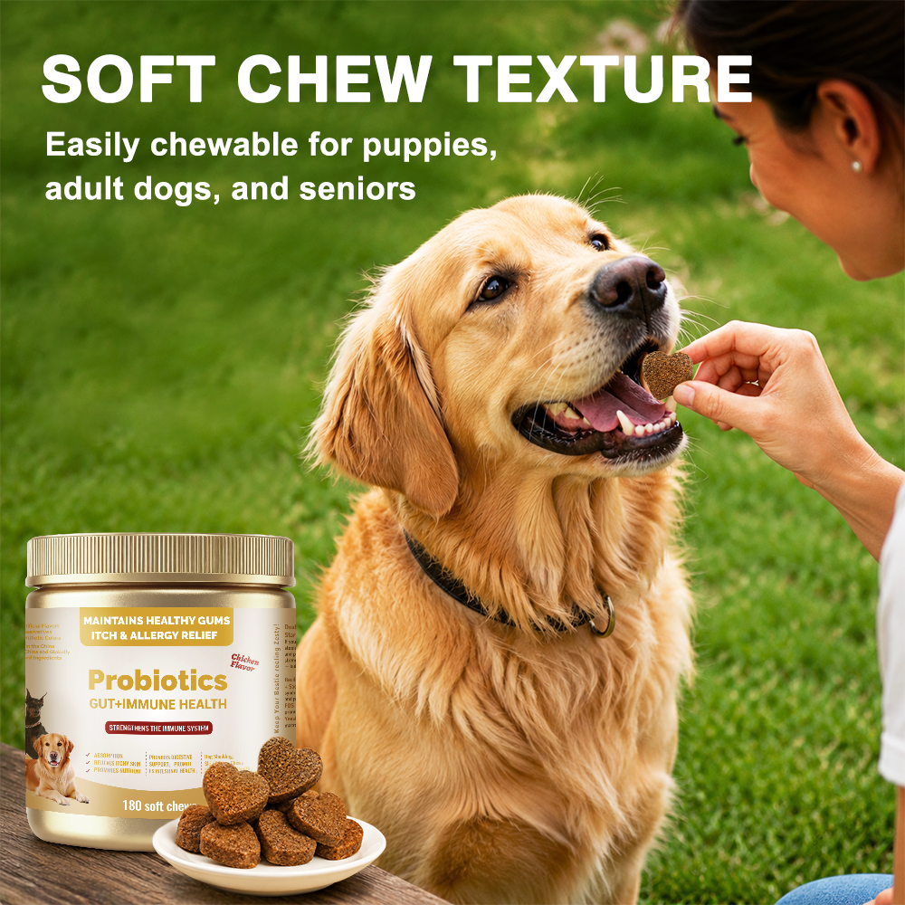 Digestive Health Soft Chews for Dogs and Cats, Chicken Flavor, 180 Count - Image 2