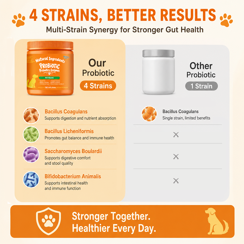 Probiotic Gut Health Soft Chews for Dogs, Chicken Flavor, 180 Count - Image 5