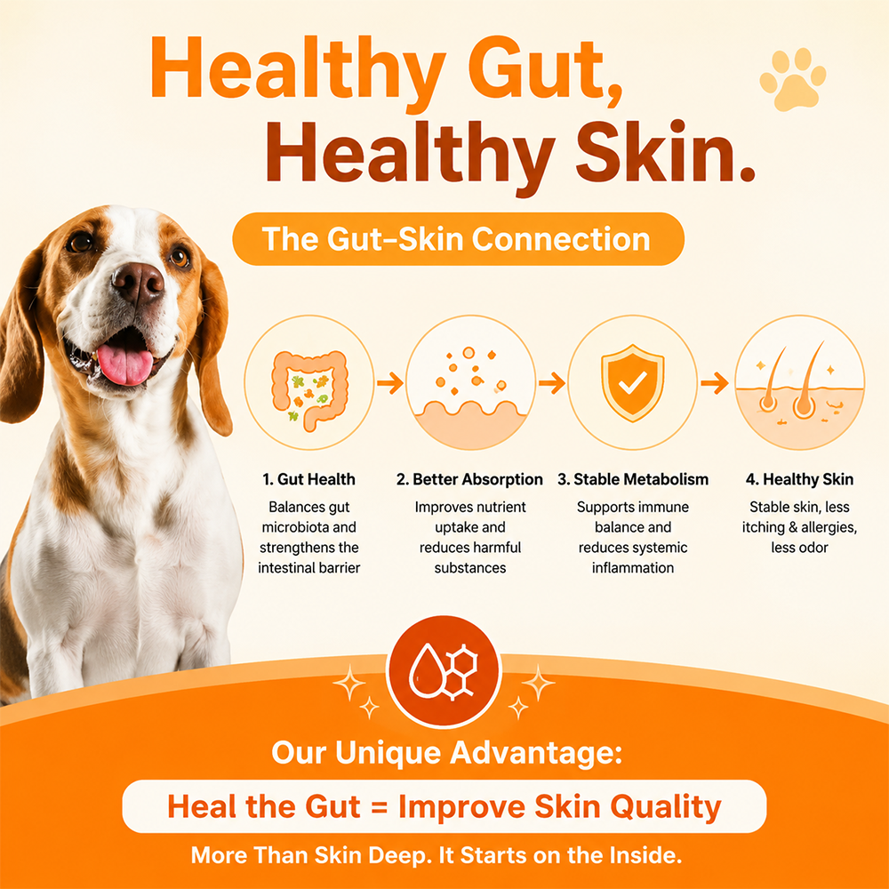 Probiotic Gut Health Soft Chews for Dogs, Chicken Flavor, 180 Count - Image 6