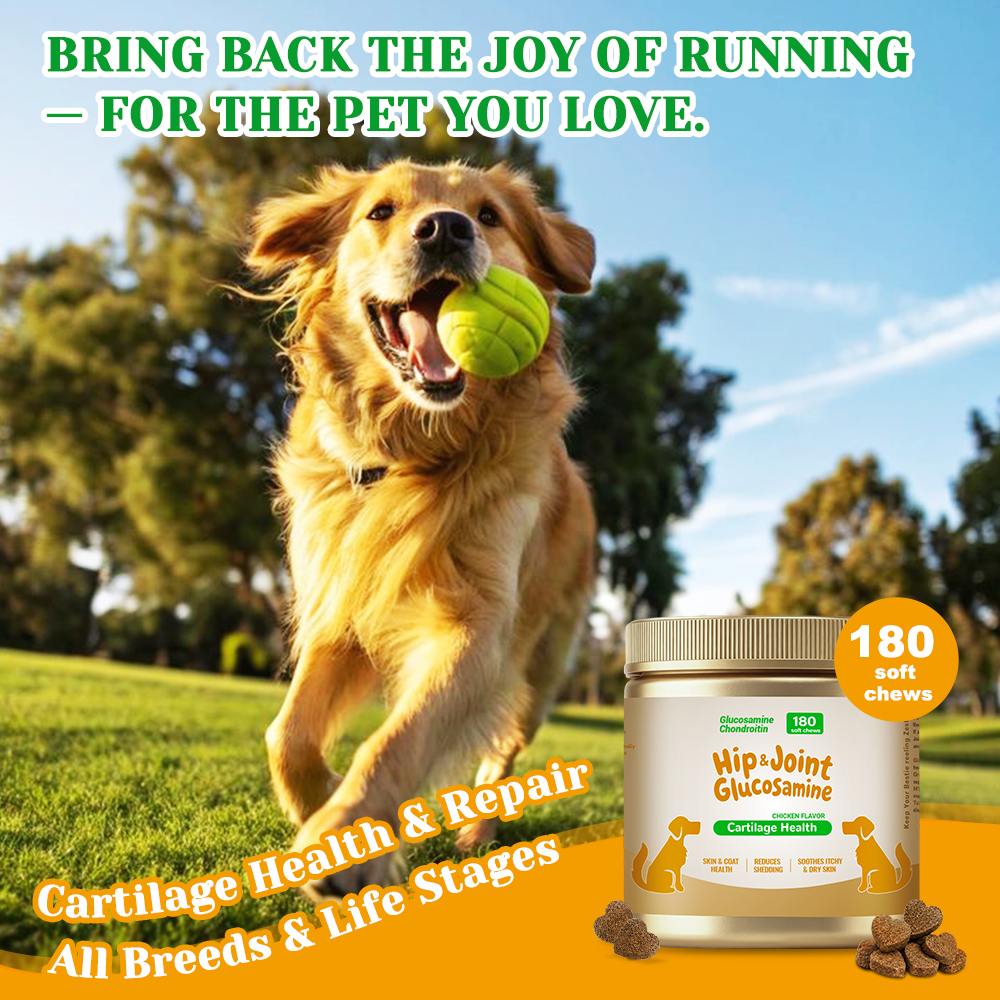 Hip & Joint Support Soft Chews for Dogs and Cats, Chicken Flavor, 180 Count