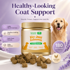 Hip & Joint Support Soft Chews for Dogs and Cats, Chicken Flavor, 180 Count